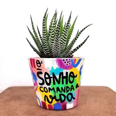 VASO O SONHO COMANDA A VIDA