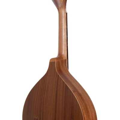 Guitarra de Fardo Lisboa APC GF AZULEJO HP LS 02