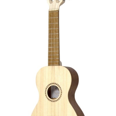 Cavaquinho APC 100