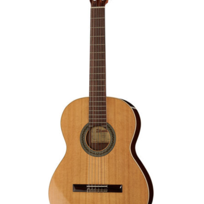 Guitarra Alhambra 2C
