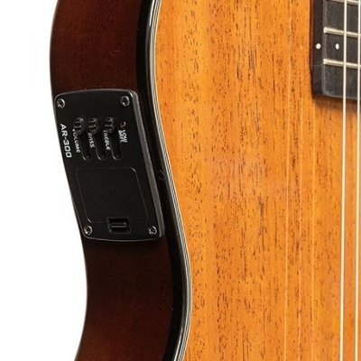 Guitarras clássicas electrificadas