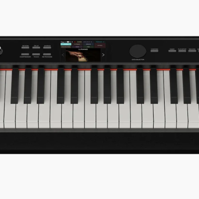 Piano NUX NPK-20