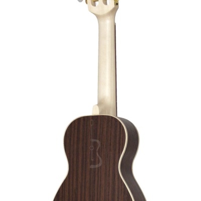 Ukulele em madeira escura e clara visto de costas