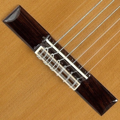 Guitarra Alhambra 5P