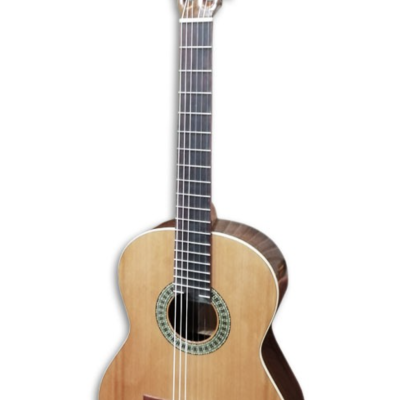 Paco Castillo 201 Brilho