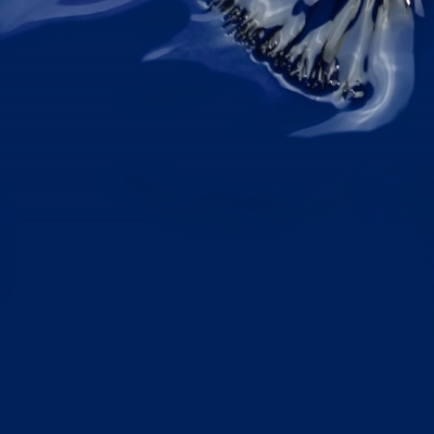 Verniz Gel INOCOS Maria Caixa De Óculos