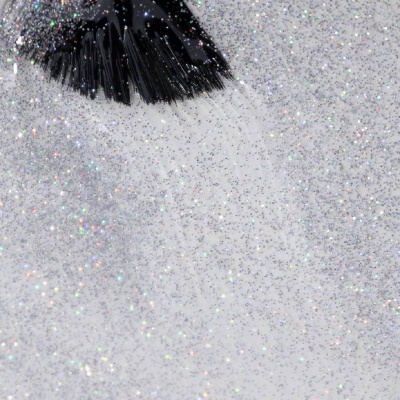 Top Coat INOCOS Glitter Show Argent Holographique