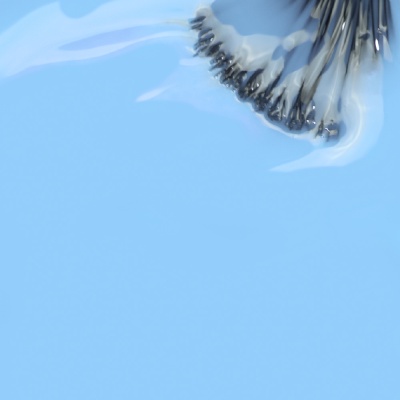 Vernis Semi Permanent INOCOS Mar de Rosas 