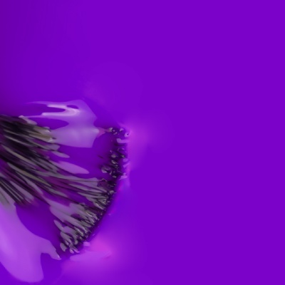 Verniz Gel INOCOS Pintarola