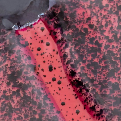 Top Coat INOCOS Matt Black Dalmatian