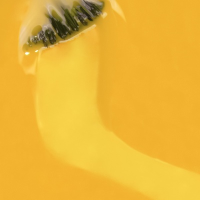 Verniz Gel INOCOS Bifana