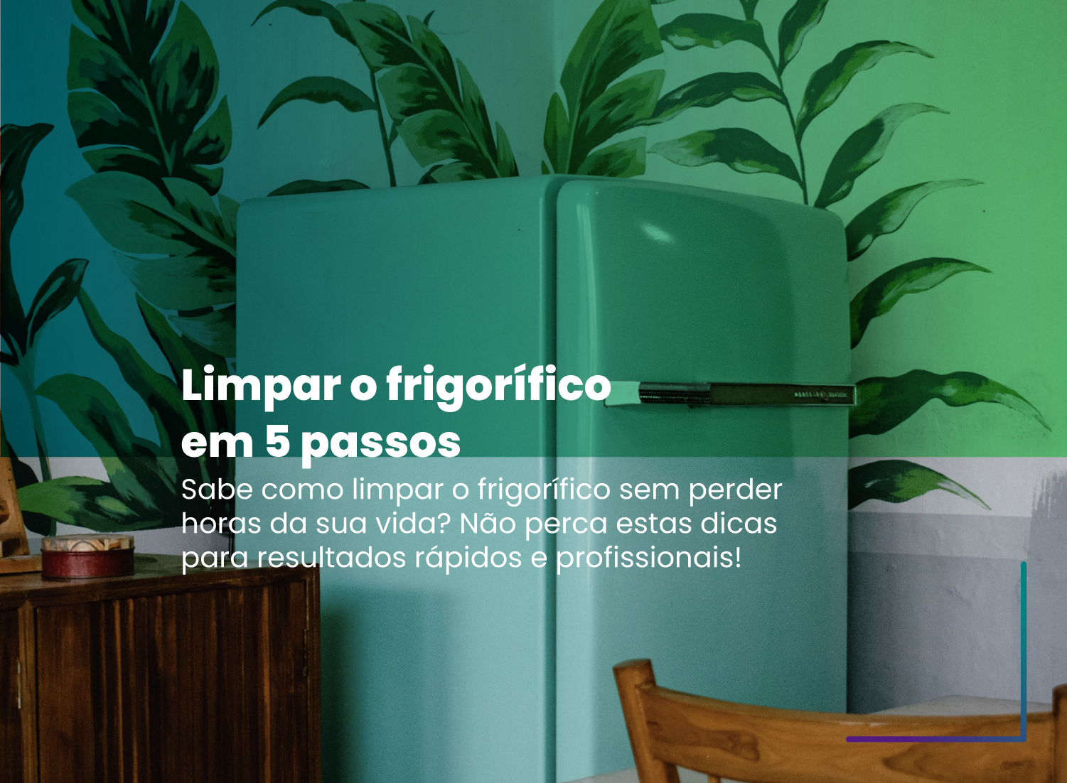 Limpar o frigorífico em 5 passos Limpar o frigorífico em 5 passos