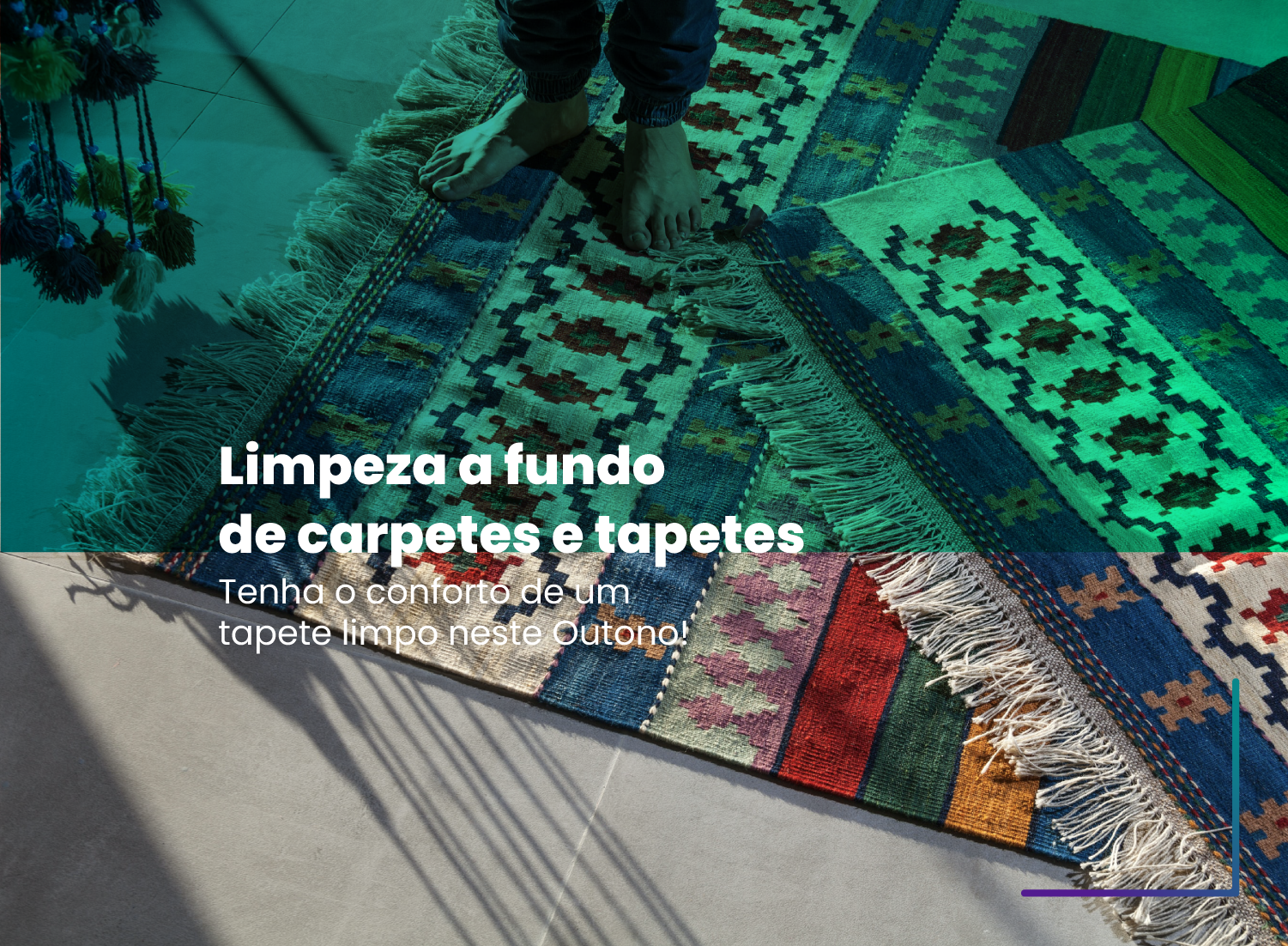 Porque é que deve fazer limpeza a fundo de carpetes e tapetes? Porque é que deve fazer limpeza a fundo de carpetes e tapetes?