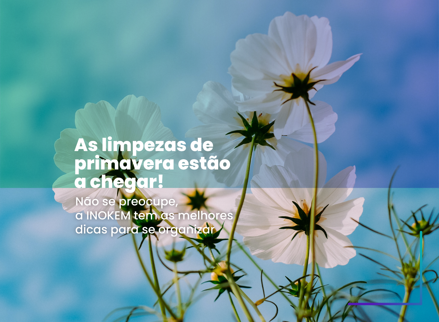 As limpezas de primavera estão a chegar! As limpezas de primavera estão a chegar!