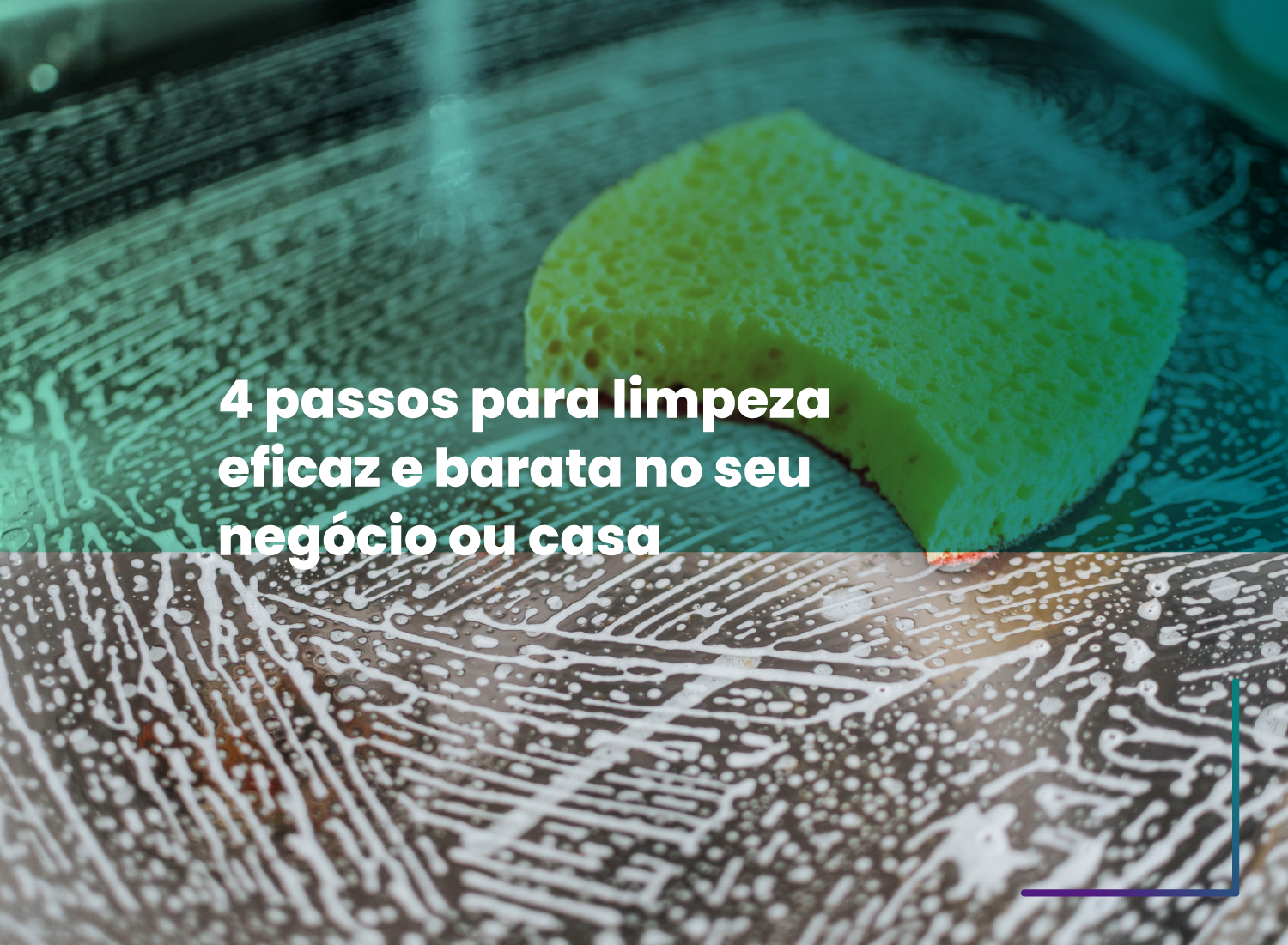 4 passos para limpeza eficaz e barata no seu negócio ou casa 4 passos para limpeza eficaz e barata no seu negócio ou casa