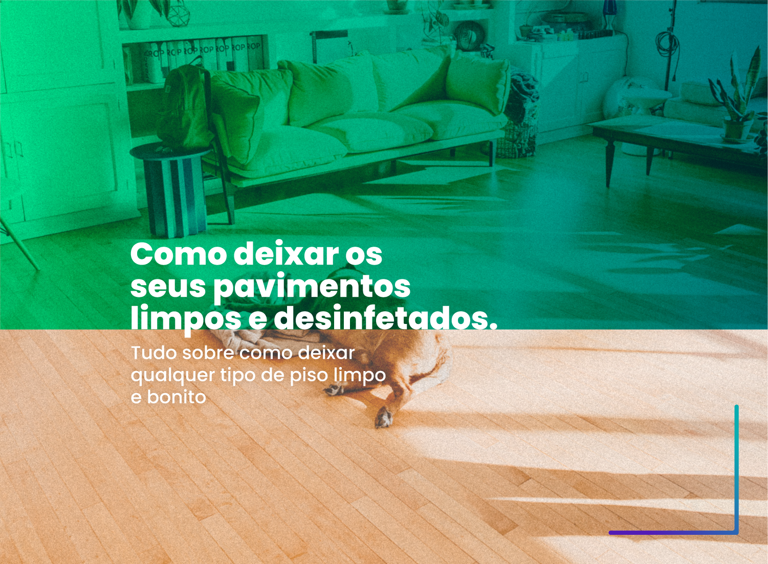 Como deixar os seus pavimentos limpos e desinfetados Como deixar os seus pavimentos limpos e desinfetados