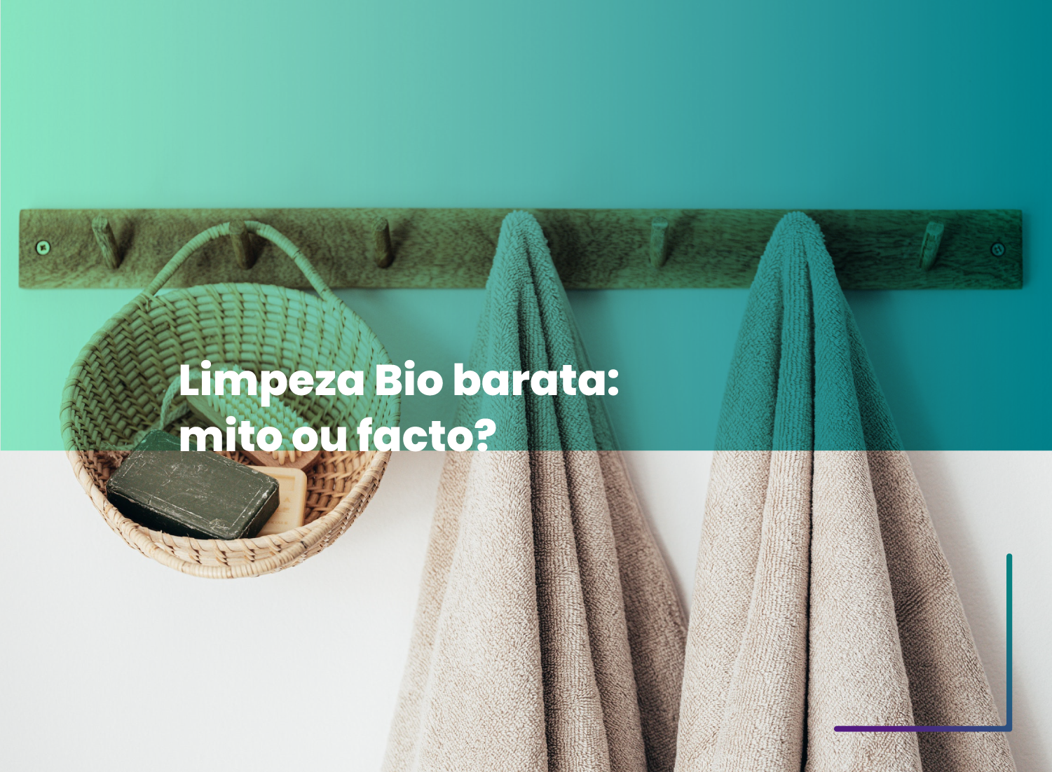 Limpeza Bio barata: mito ou facto? Limpeza Bio barata: mito ou facto?