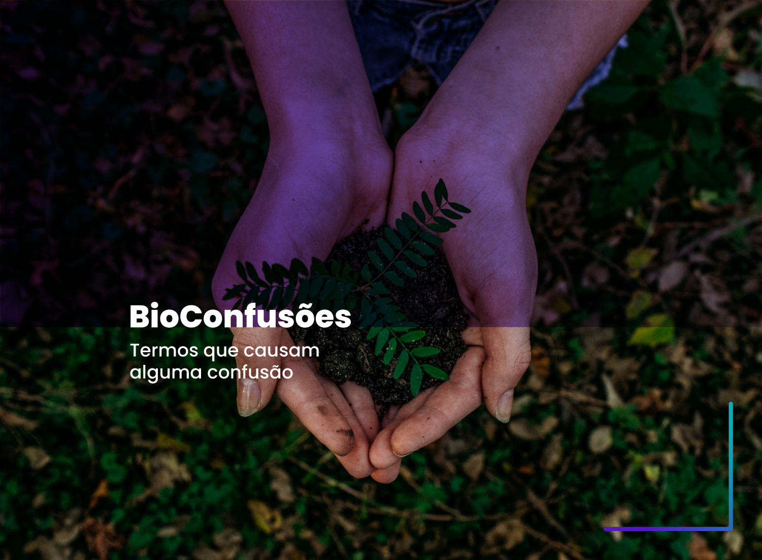 BioConfusões BioConfusões