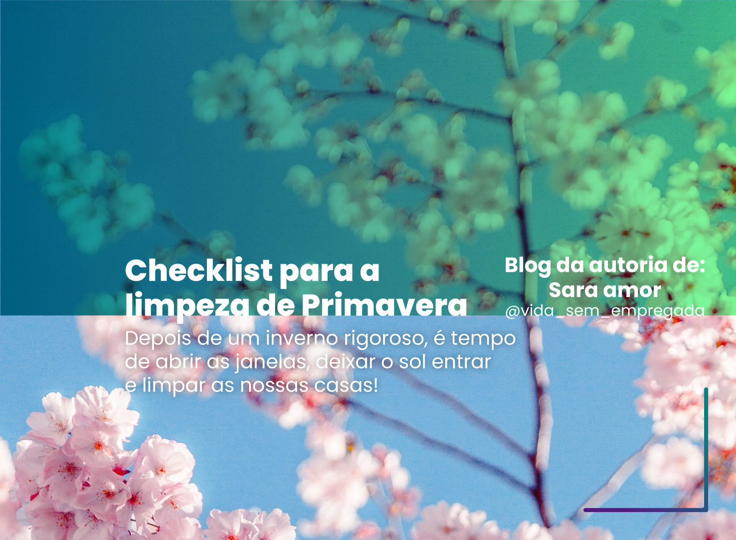 Checklist para a limpeza de Primavera Checklist para a limpeza de Primavera