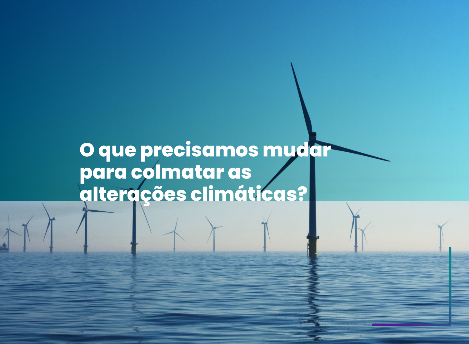 7 mudanças urgentes para colmatar as alterações climáticas 7 mudanças urgentes para colmatar as alterações climáticas