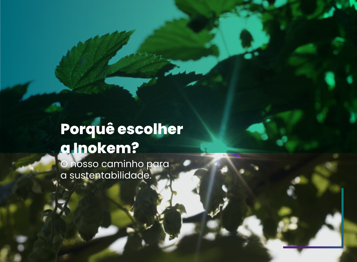Porquê escolher Inokem? O nosso caminho para a sustentabilidade Porquê escolher Inokem? O nosso caminho para a sustentabilidade