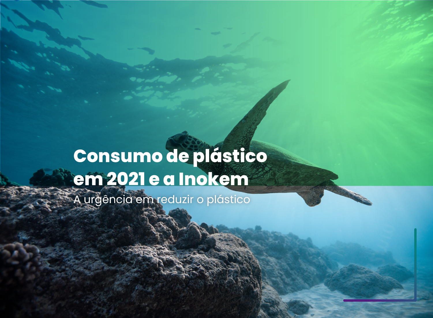 Consumo de plástico em 2021 e a Inokem Consumo de plástico em 2021 e a Inokem