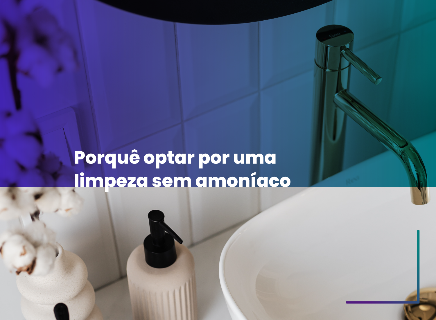 Porquê optar por uma limpeza sem amoníaco Porquê optar por uma limpeza sem amoníaco