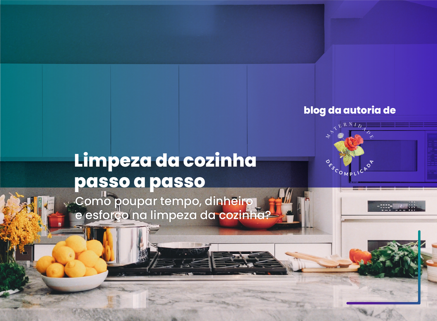 Limpeza de cozinha passo a passo Limpeza de cozinha passo a passo