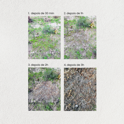 Limpeza e deservagem biológica - BIOSUPRA ORGANIC