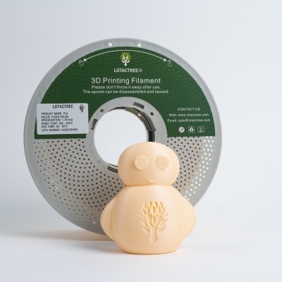 PLA Fleshcolor - Diâmetro 1,75mm Bobine 1kg - Lotactree