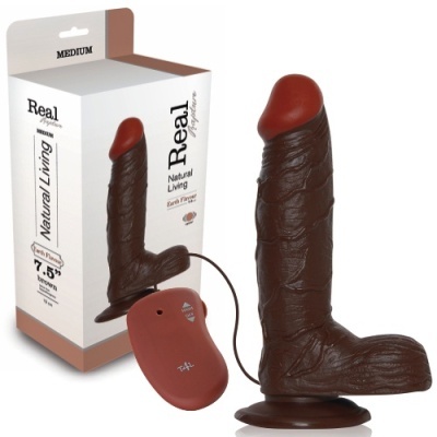 Dildo castanho escuro com ponta vermelha e controlo remoto vermelho em fundo branco