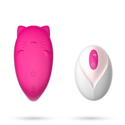 Dois dispositivos eletrónicos compactos, um rosa em forma de gato, outro branco com botões cor-de-rosa