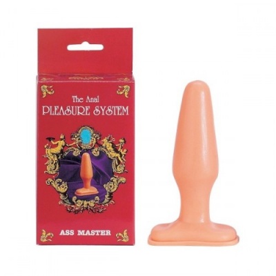 THE ANAL PLEASURE SYSTEM - THE ASS MASTER