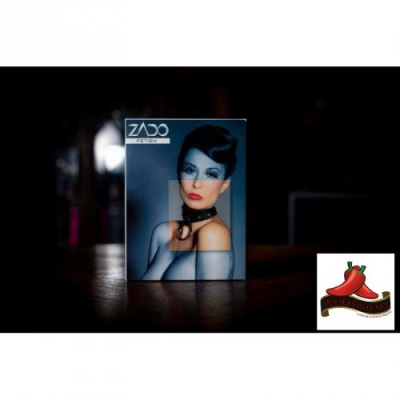 Coleira em Couro e metal