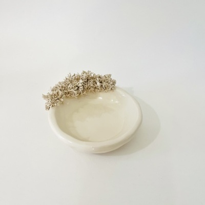 Taça "Coral” / “Coral“ Bowl