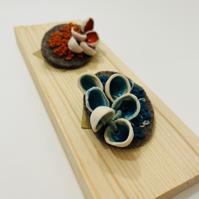 Pregadeira “Conchas”/Brooch “Shells”