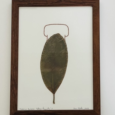 Herbário bordado “Coleção Magnólia” 2