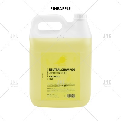 Shampoo Pineapple 5L | REF.980827