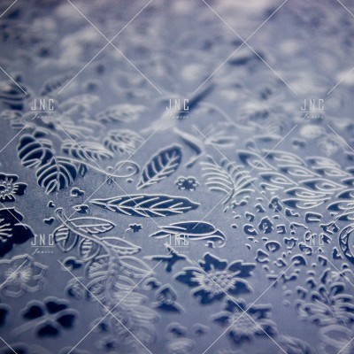 Placa de Estampagem Nail Art | Ref.861352