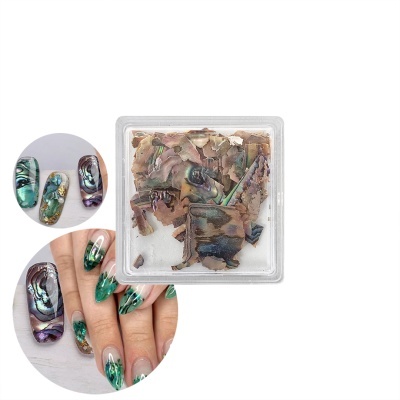 Lantejoulas Abalone Shell #04 | Ref.863891