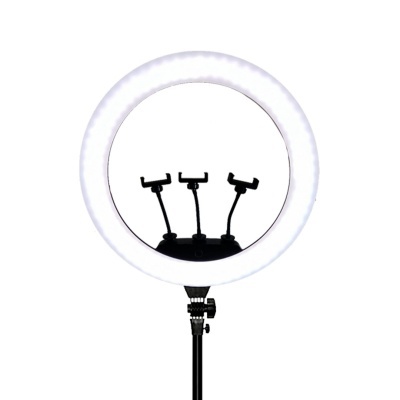 Anel de Luz LED Ring Light Profissional 22" - Temperatura de cor 3200k - 6500k | Ref.864054