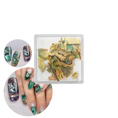 Lantejoulas Abalone Shell #01 | Ref.863888