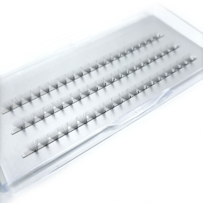 Pestanas postiços agrupados em leques dentro de estojo transparente