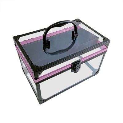 Estojo transparente com armação preta e detalhes rosa