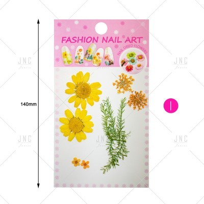 Flores Secas para Nail Art | Ref.861920