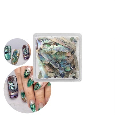 Lantejoulas Abalone Shell #02 | Ref.863889