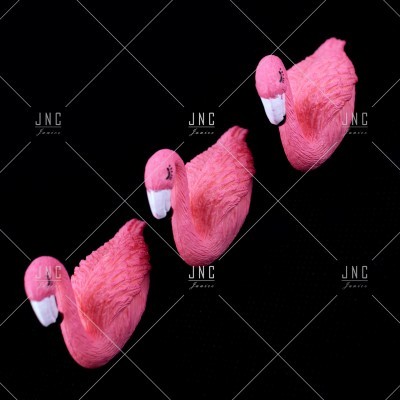 Decoração para fotos - Flamingo | Ref.860584