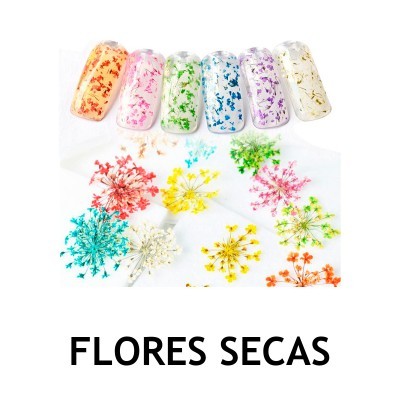 Flores Secas