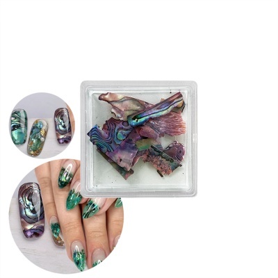 Lantejoulas Abalone Shell #10 | Ref.863897