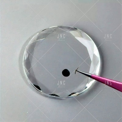 Suporte Transparente para Cola Pestanas | Ref.861853